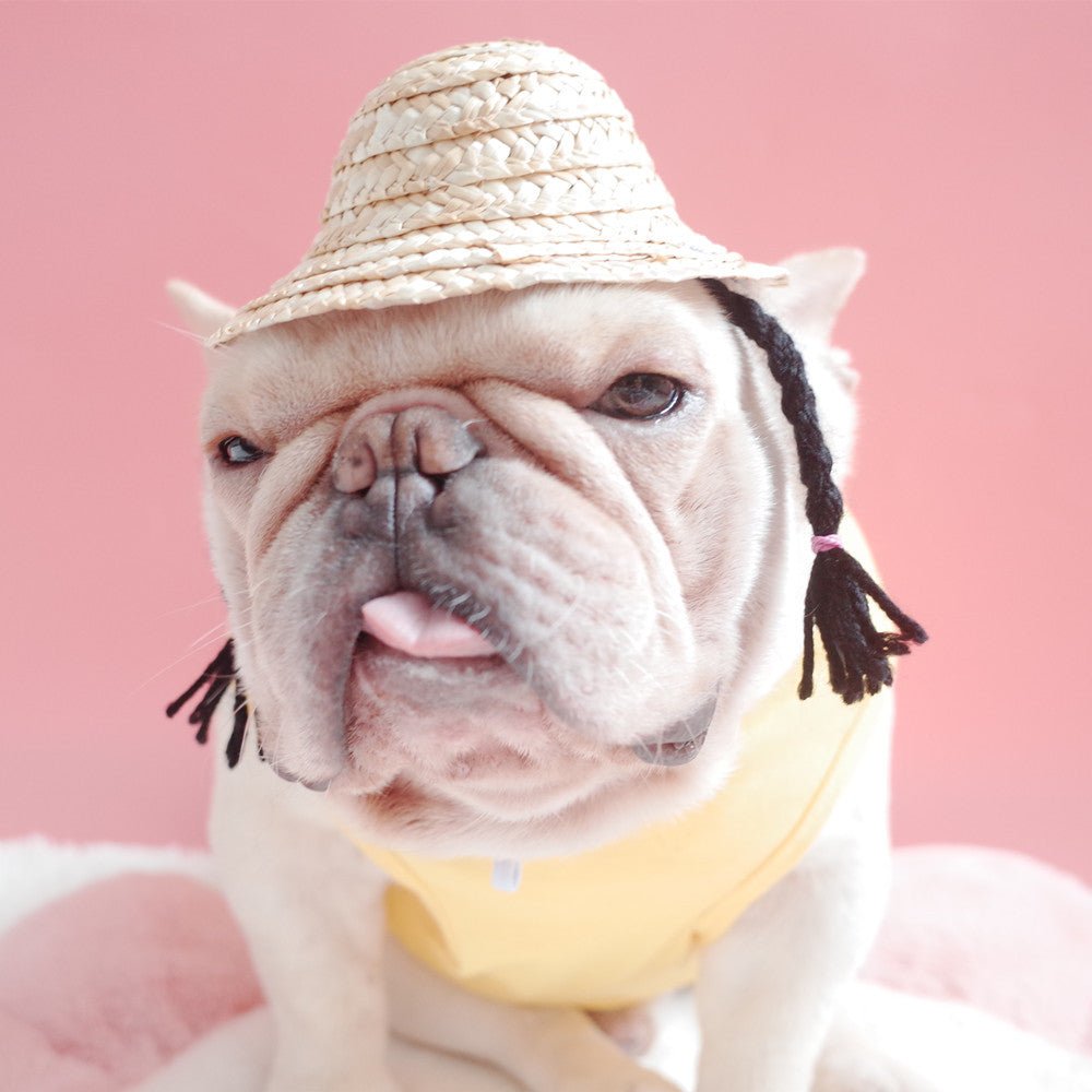 Dog and Cat Double Braid Straw Hat (French Style) - WowStore.live