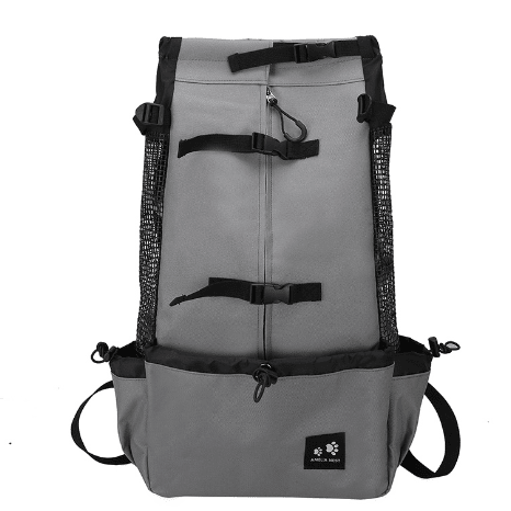 Dark grey dog backpack carrier on a white background, two buckle straps across the front and mesh sides