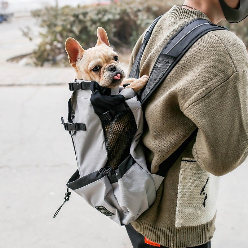Light grey dog backpack with a French bulldog, seen from the side with mesh and buckle straps