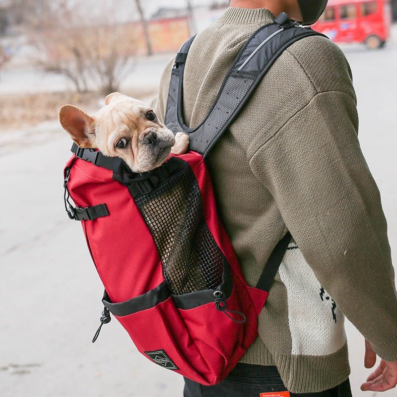 Red dog backpack with a French bulldog, side view showing the mesh panel