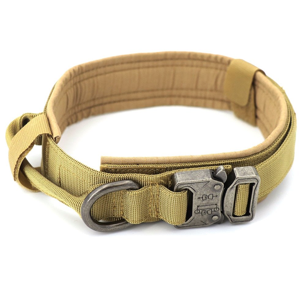 Dog Collar - Wow Store