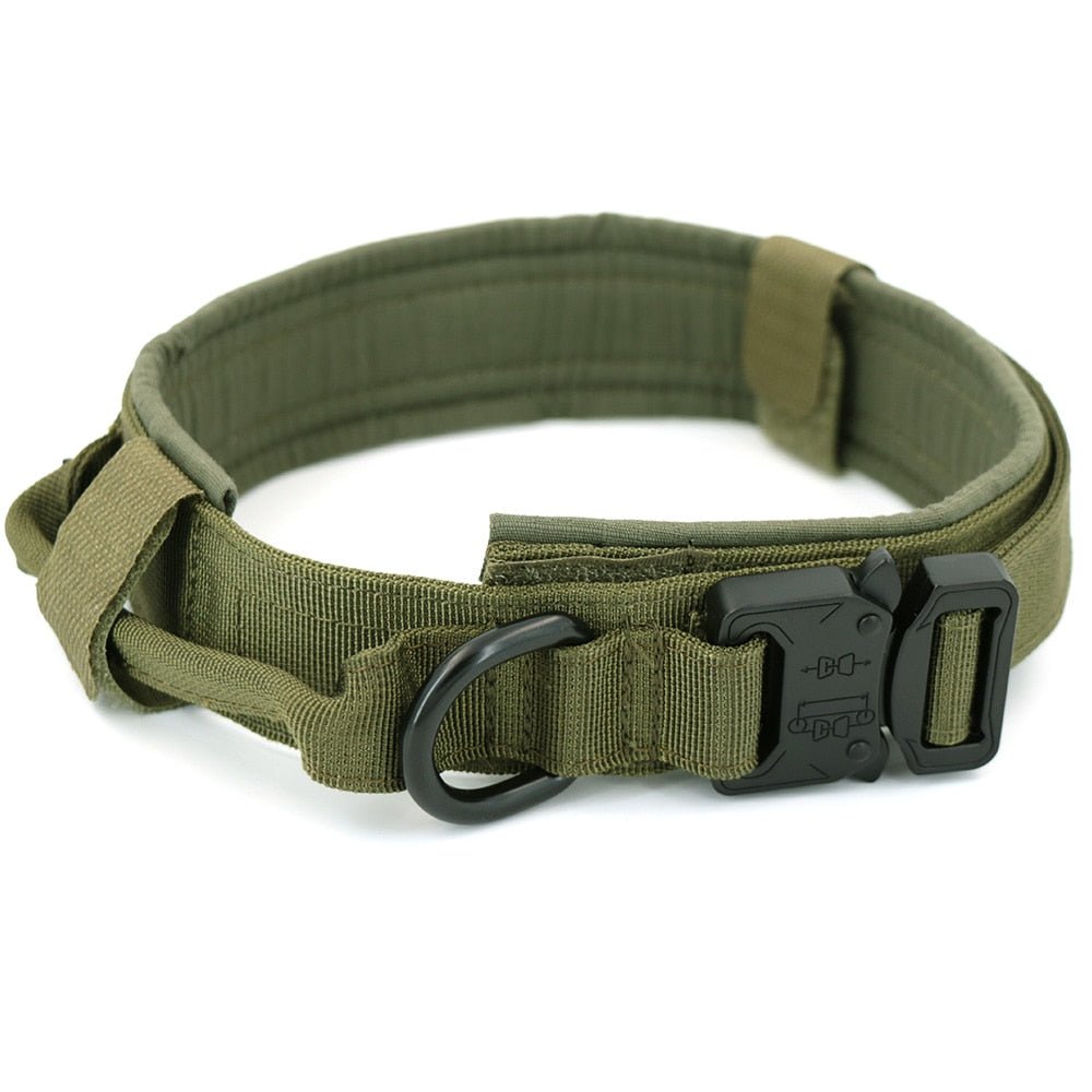 Dog Collar - Wow Store