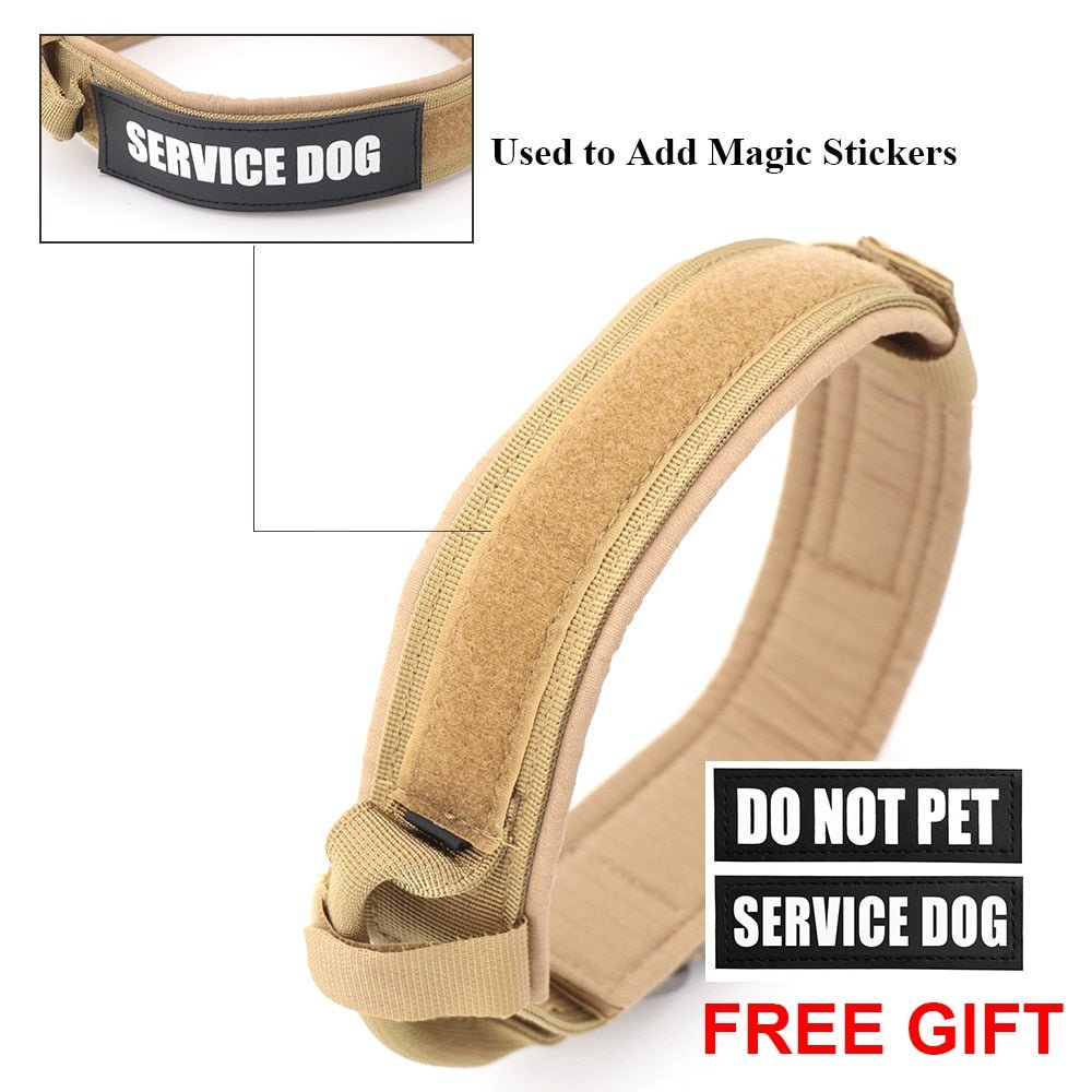 Dog Collar - Wow Store
