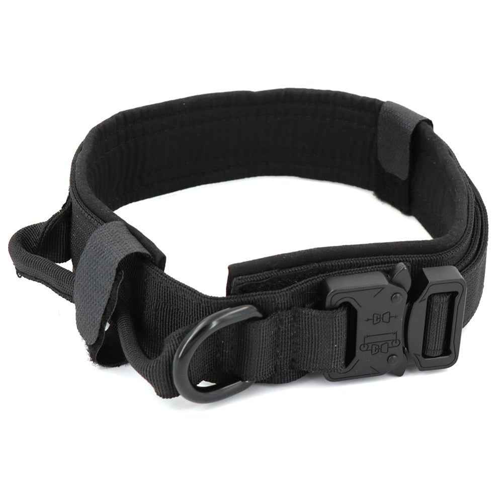 Dog Collar - Wow Store