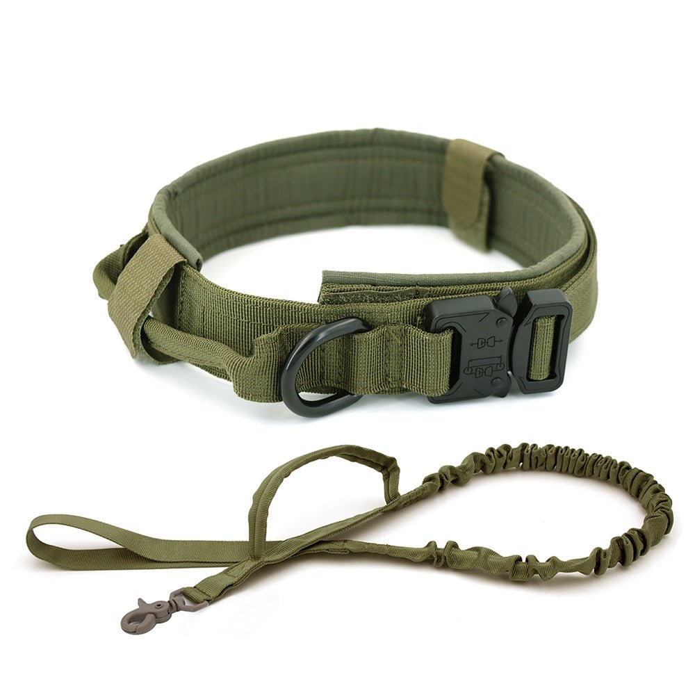 Dog Collar - Wow Store