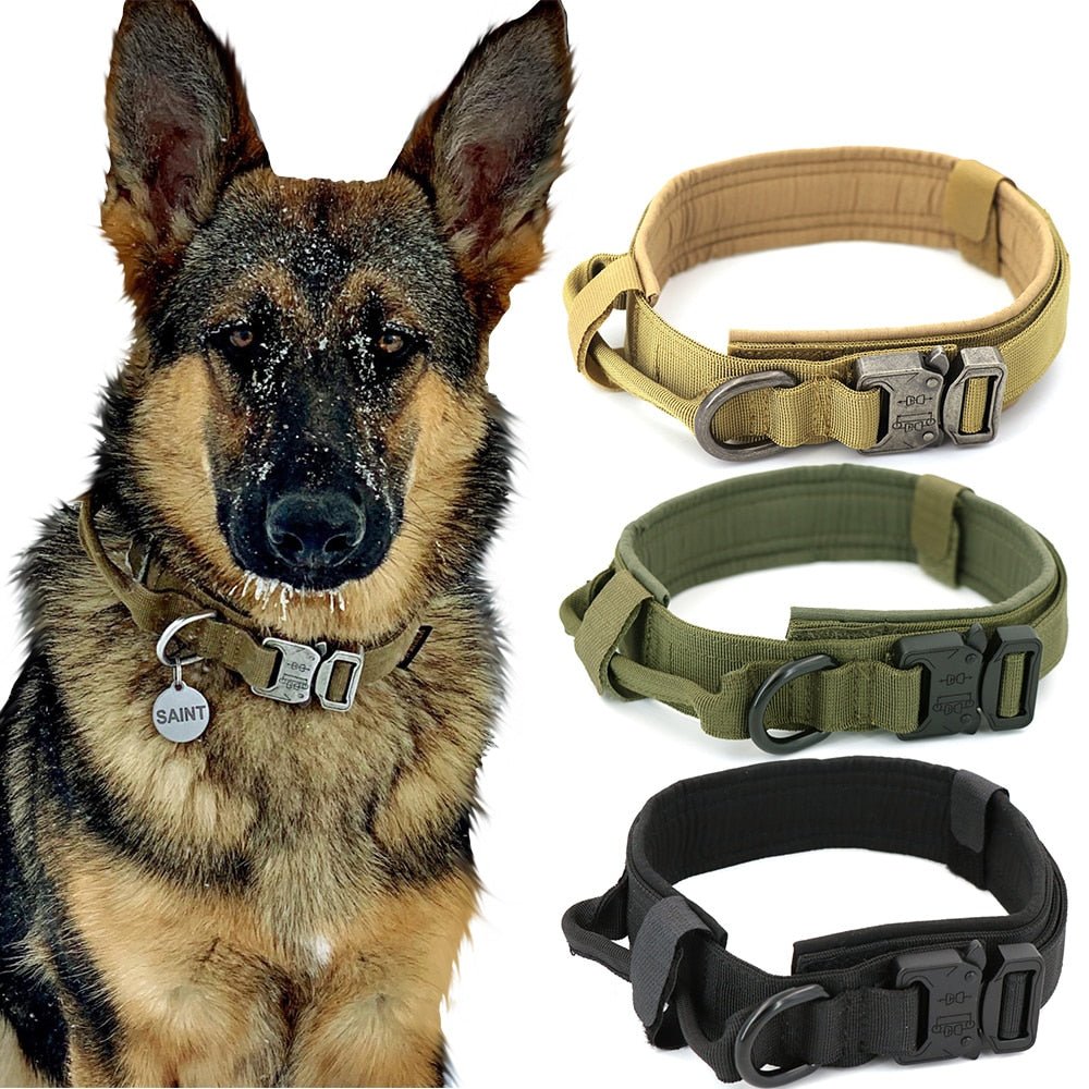 Dog Collar - Wow Store
