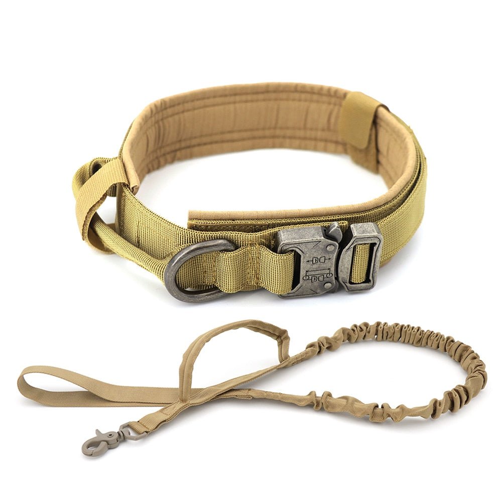 Dog Collar - Wow Store