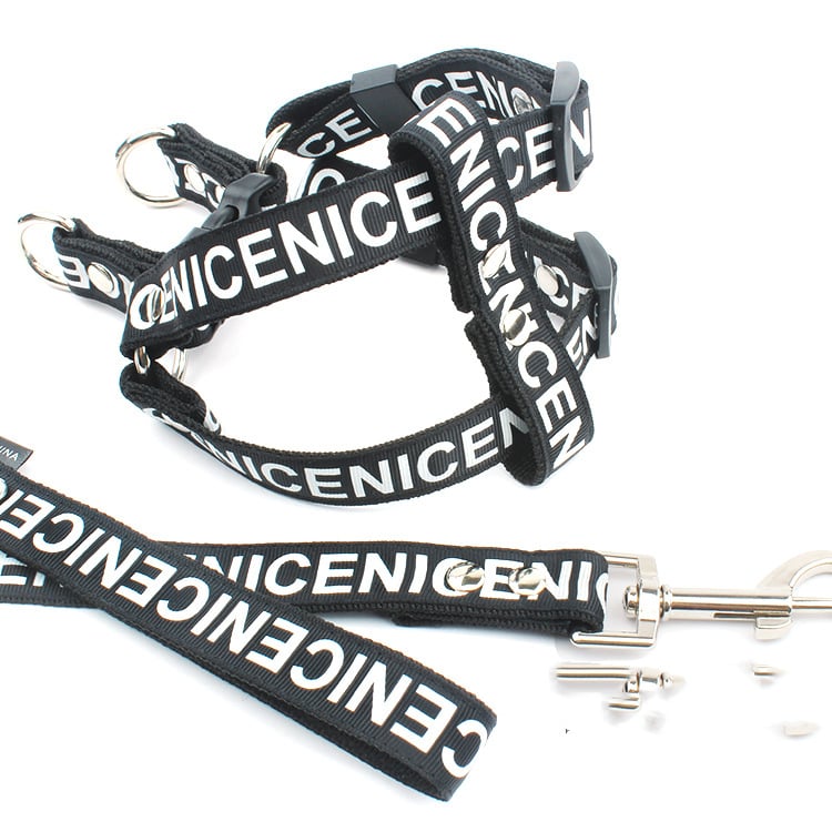 Dog Leash and Collar Set for Pets - WowStore.live