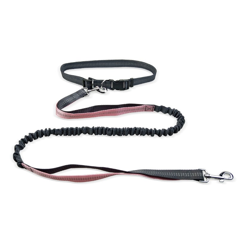 Dog Walking Belt with Detachable Shockproof Leash - WowStore.live