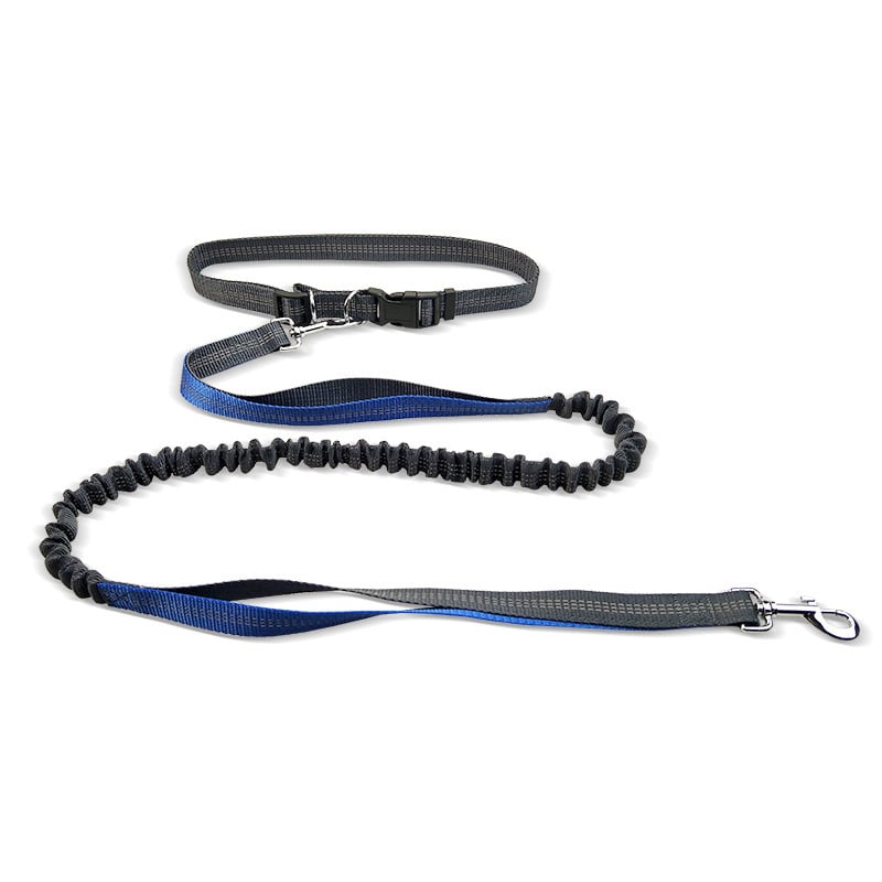 Dog Walking Belt with Detachable Shockproof Leash - WowStore.live