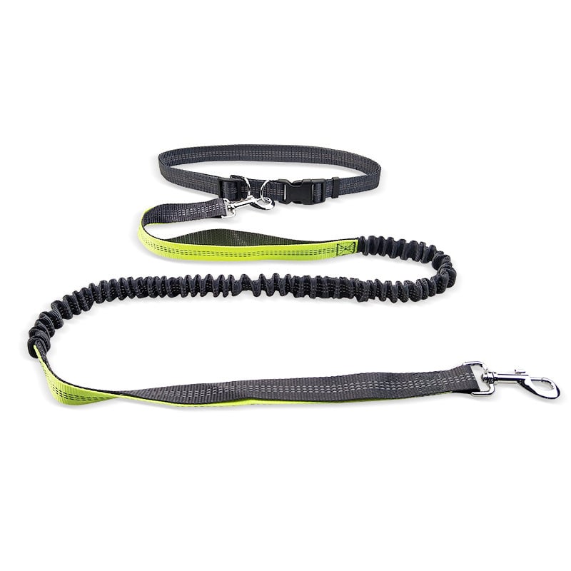 Dog Walking Belt with Detachable Shockproof Leash - WowStore.live