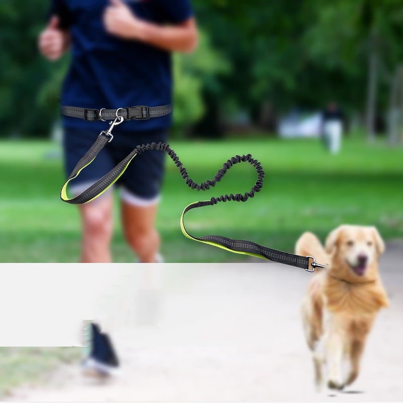 Dog Walking Belt with Detachable Shockproof Leash - WowStore.live