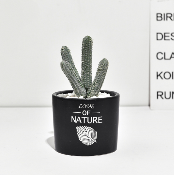 Mini Cactus Ceramic Faux Plant - Nordic Green