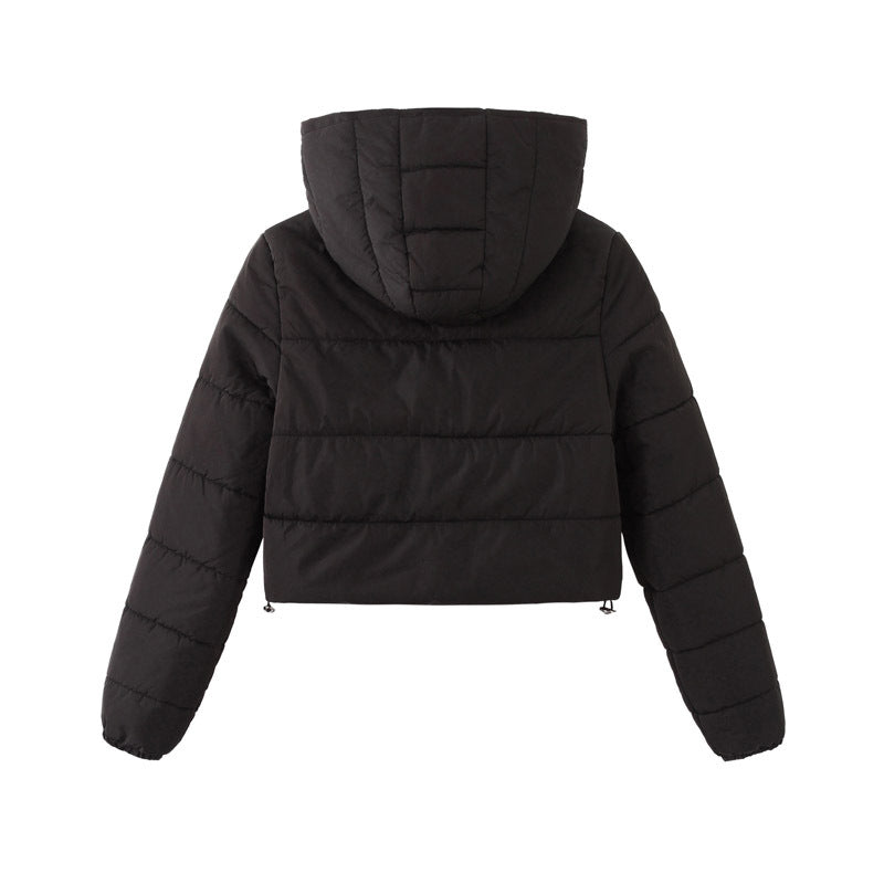 Black cropped hooded puffer jacket, flat lay back view, showing quilted hood