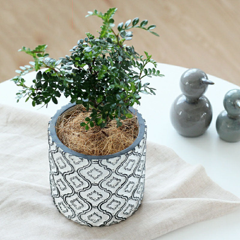 Vintage Luxury Plant Pot with Patterned Design
