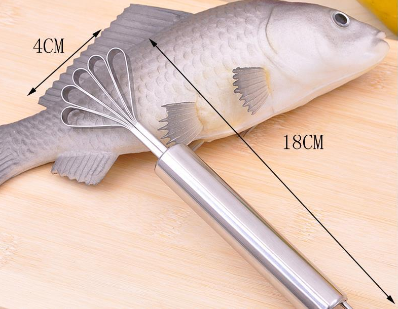 Stainless Steel Coconut & Fish Scales Peeler
