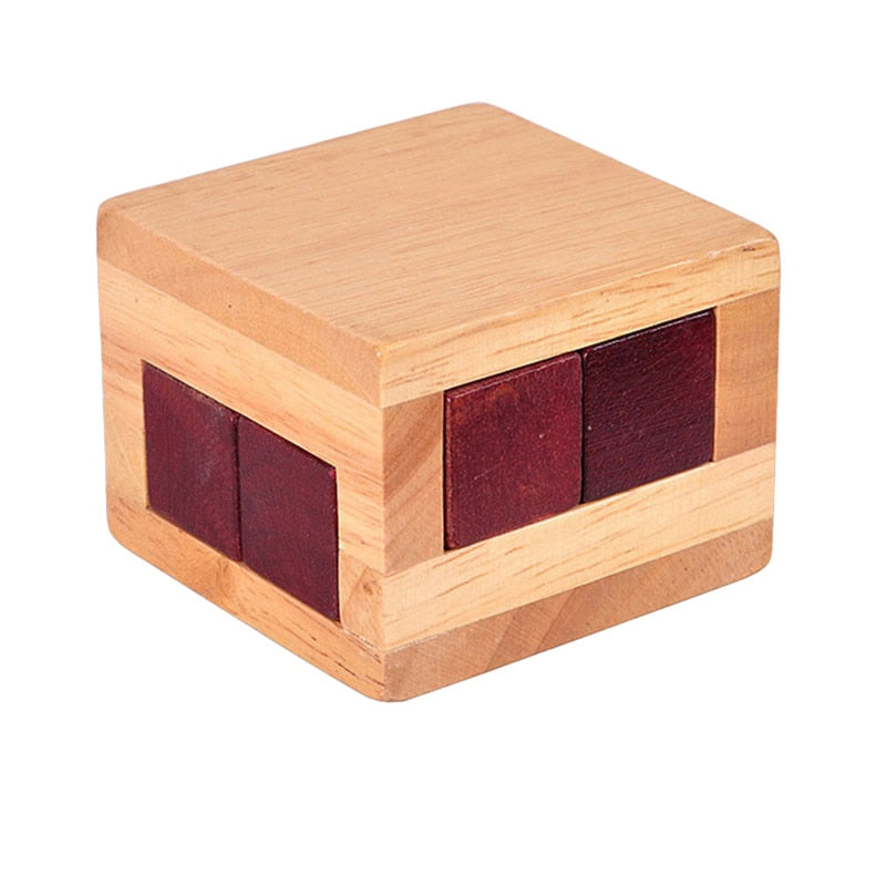 Wooden Puzzle Toy - Adult Intelligence Challenge Set