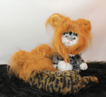 Funny Lion Mane Hat for Cats and Kittens - WowStore.live
