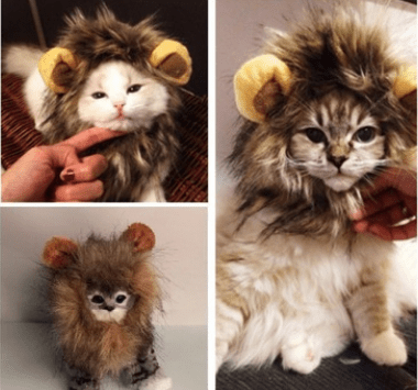 Funny Lion Mane Hat for Cats and Kittens - WowStore.live