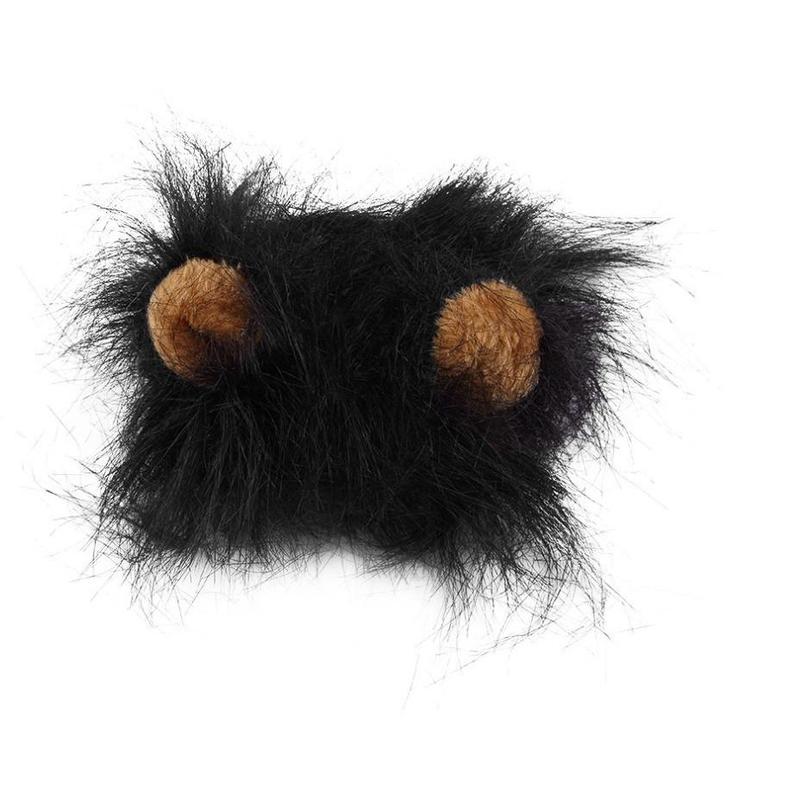 Funny Lion Mane Hat for Cats and Kittens - WowStore.live
