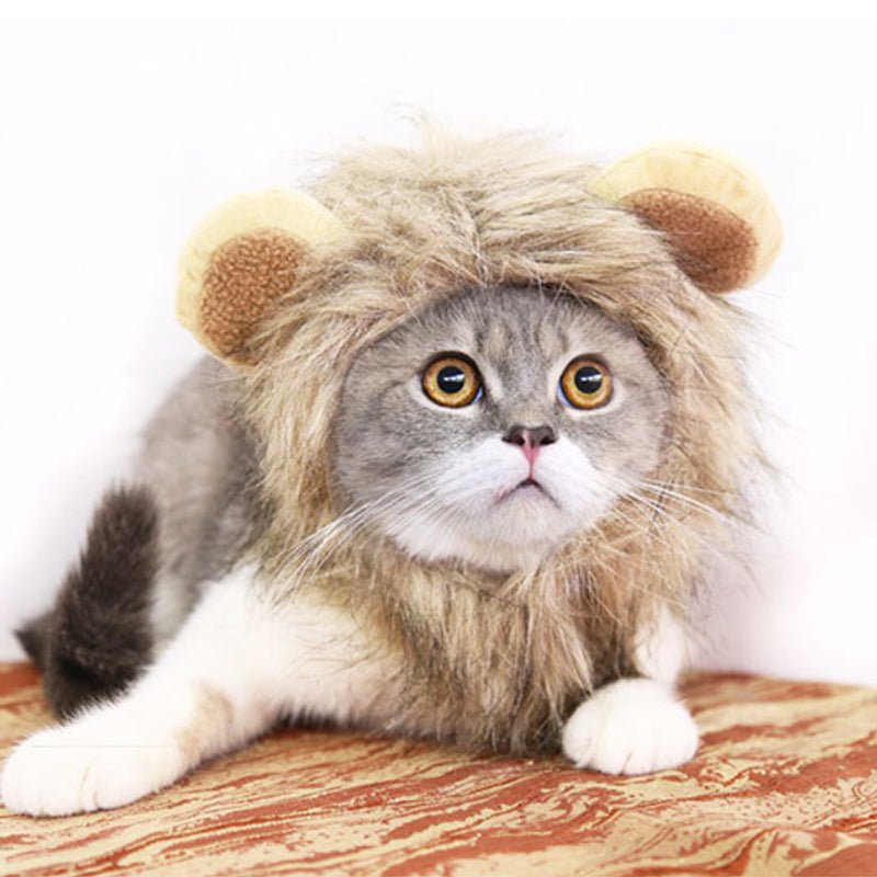 Funny Lion Mane Hat for Cats and Kittens - WowStore.live