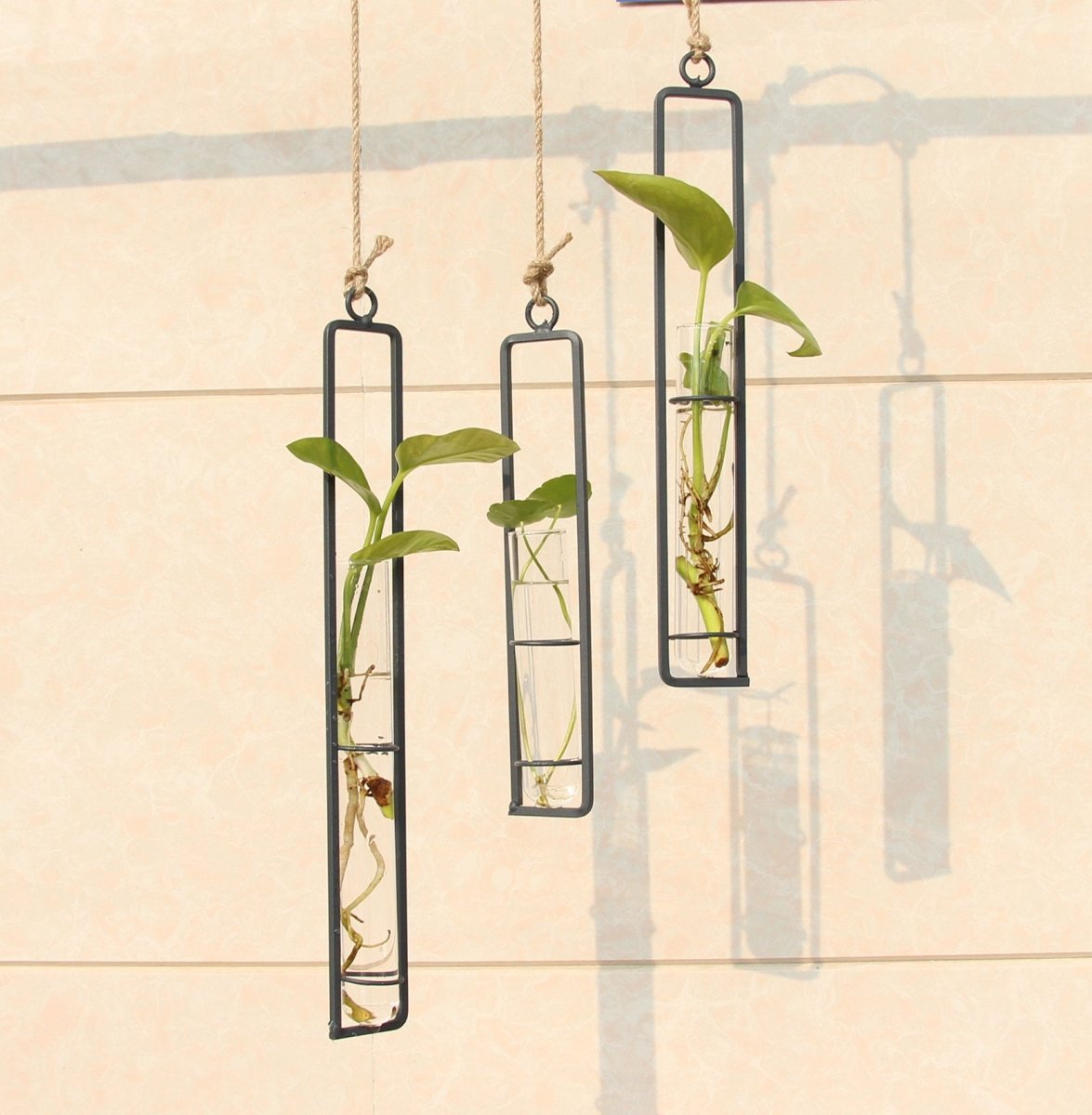 Hanging Glass Test-Tube Vase with Metal Frame - WowStore.live
