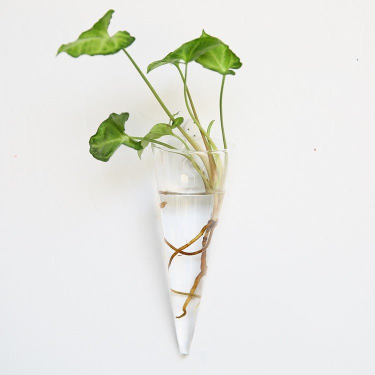 Cone-shaped glass wall vase with a leafy cutting, roots visible in the water