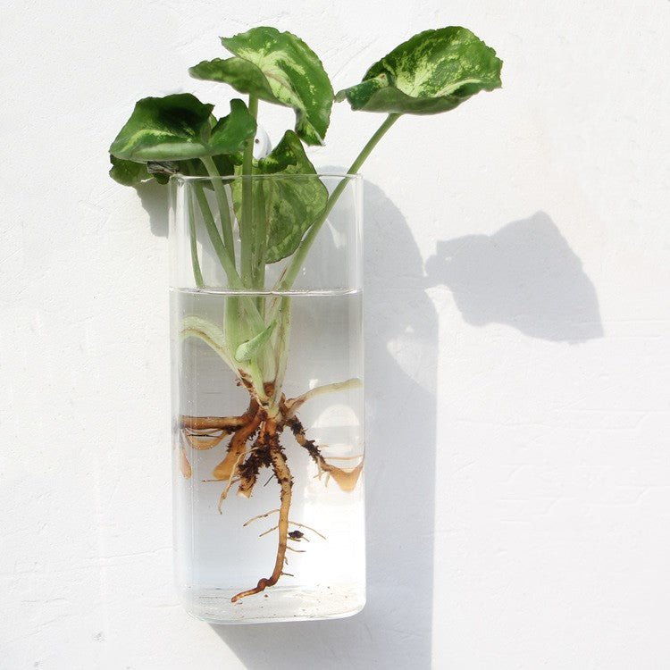 Tall square glass tube vase on the wall, filled with water and a leafy cutting