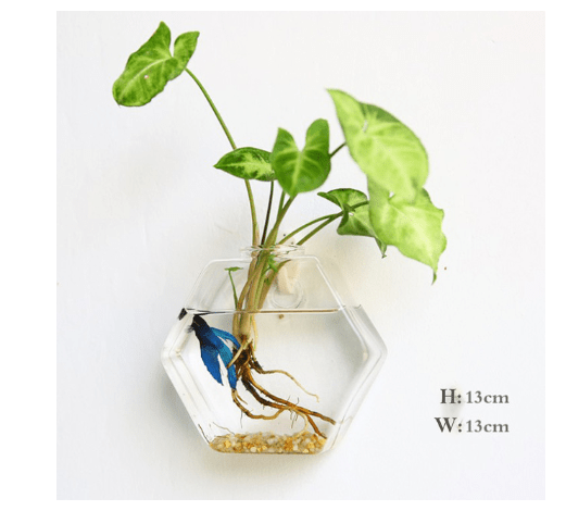 Hexagon glass wall vase with a cutting, pebbles and a small blue fish, marked 13 cm high and 13 cm wide