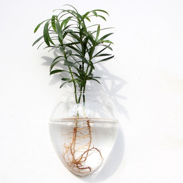 Drop-shaped clear glass vase on a white wall with a rooted green sprig