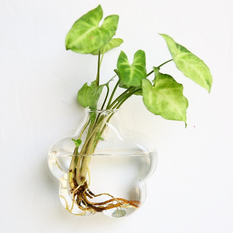 Glass wall vase with a scalloped flower outline, holding a cutting in water
