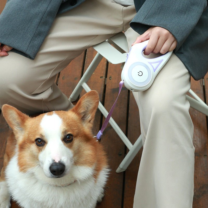 Led Lights Dog Leash - Wow Store