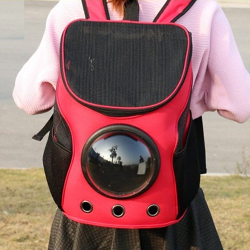 Red pet carrier backpack worn on the back, seen from behind