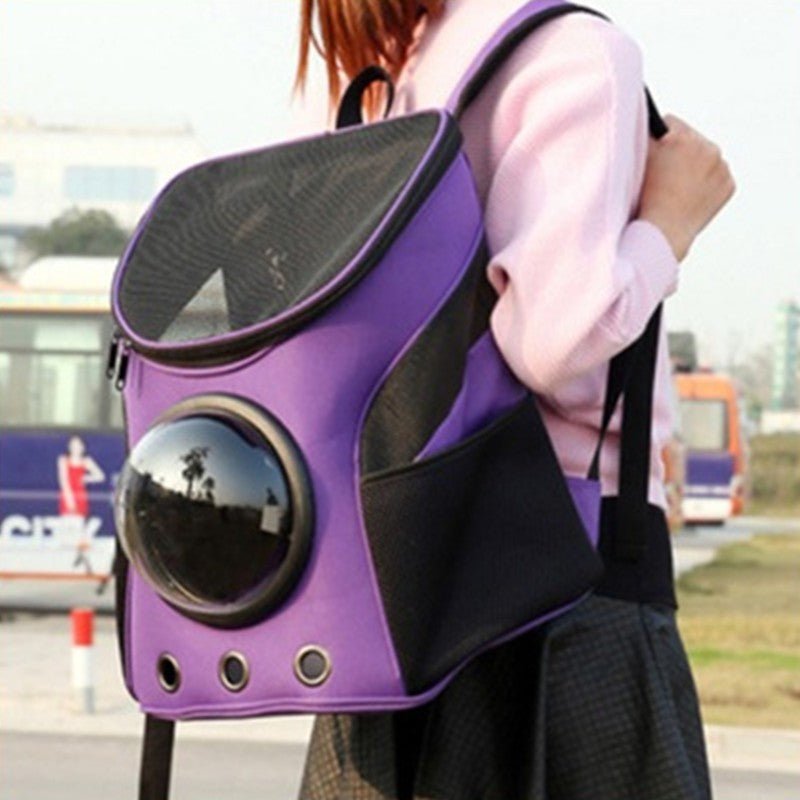 Purple pet carrier backpack seen at an angle on someone's back, the dome reflecting the street