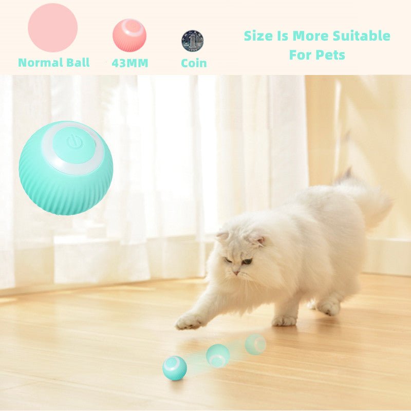 Smart Cat Ball Toys - Wow Store