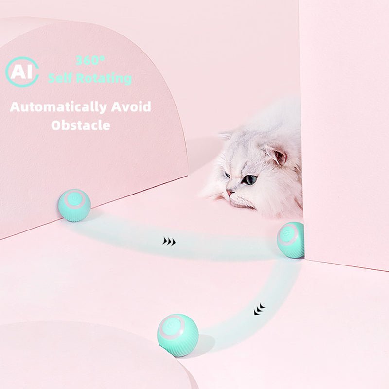 Smart Cat Ball Toys - Wow Store