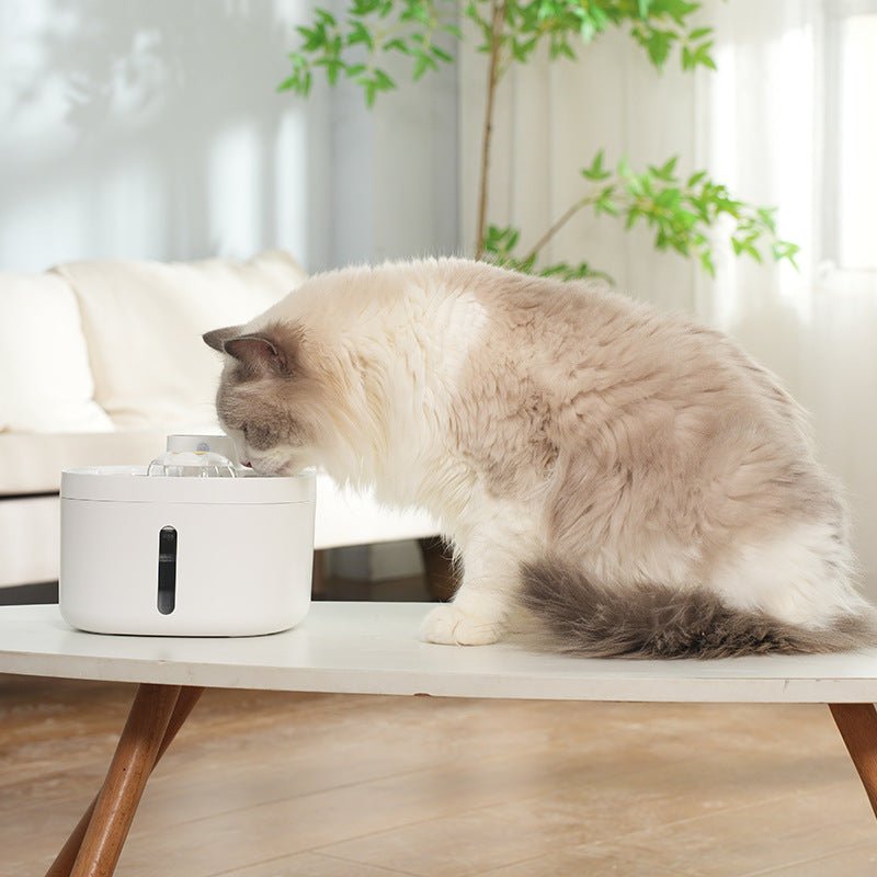 Smart Pet Wireless Water Dispenser with Stainless Steel Bowl - WowStore.live