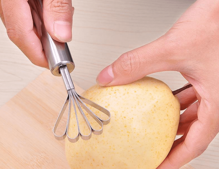 Stainless Steel Coconut & Fish Scales Peeler - WowStore.live