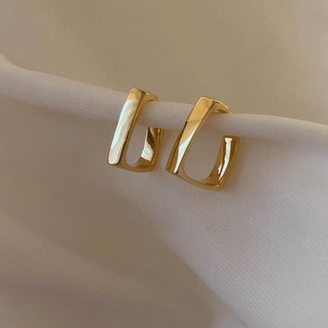 Stanley Gold-Plated Earrings - WowStore.live