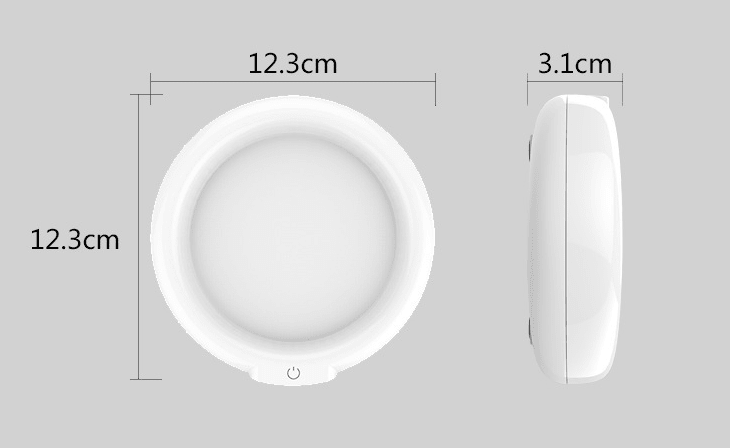 Size drawing of the frother: 12.3 cm across and 3.1 cm high