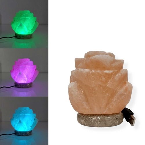 USB Colour Changing Salt Himalayan Lamp - Carved Shape Pink Rock LED - Wow Store