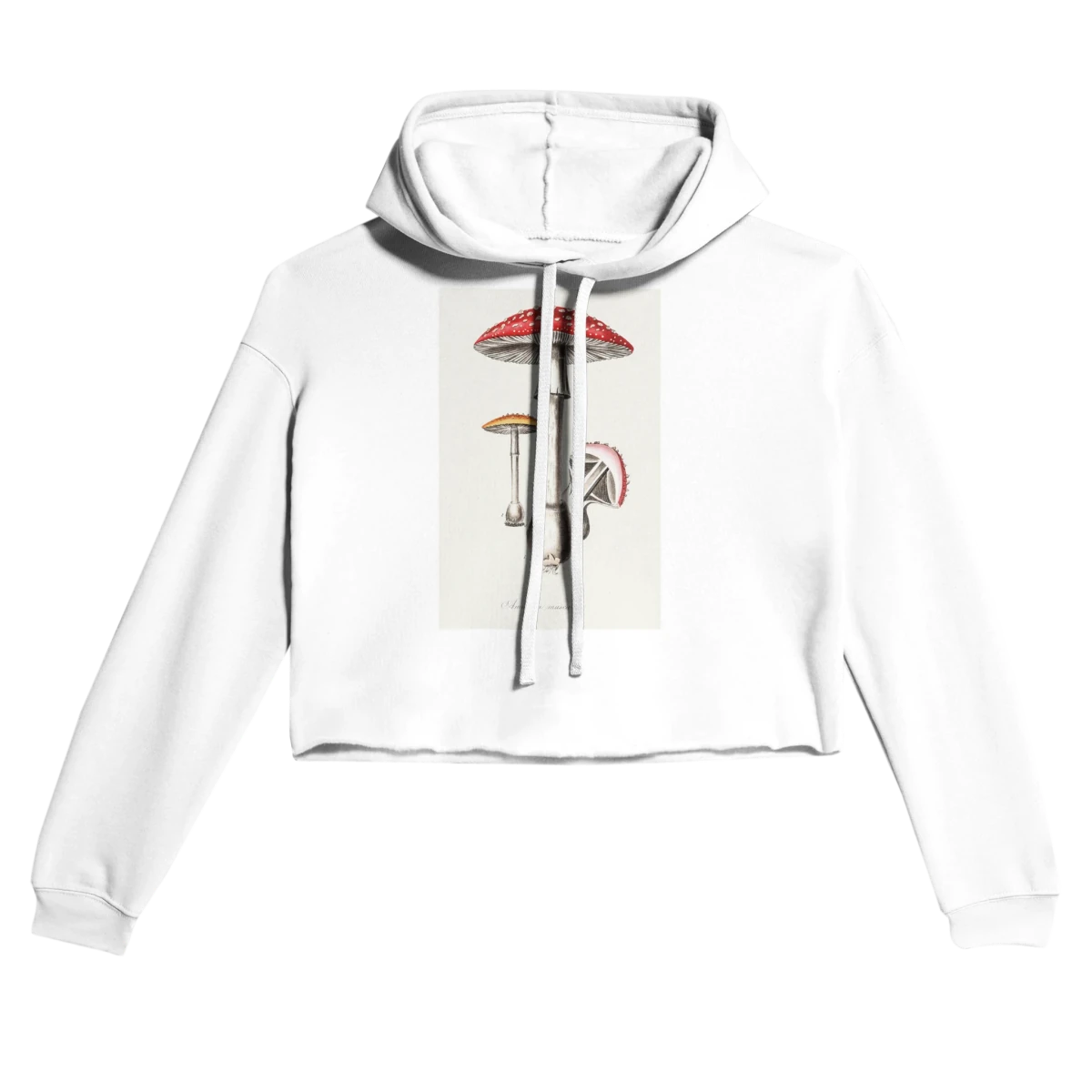 Women's Cropped Hoodie | Alis SLOW Wonderland - Wow Store