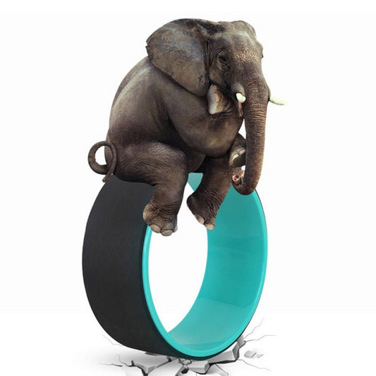 Yoga Wheel Back Training Tool Yoga Circles TPE - Wow Store